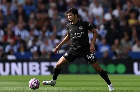 华体会hth sports-英超本赛季各俱乐部最快球员：曼城胡桑诺夫，切尔西内托