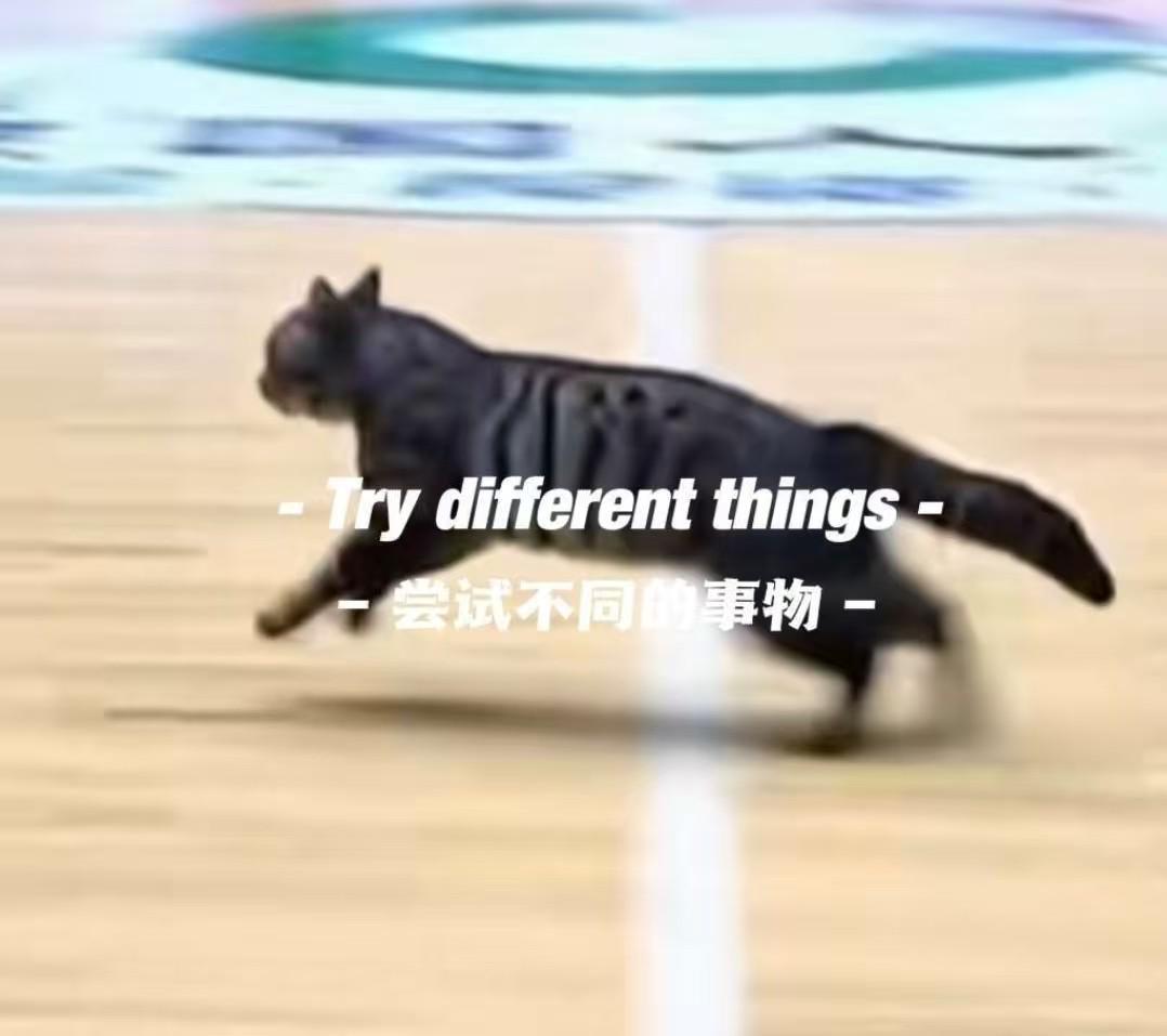 华体会体育APP下载-猫猫也想打球，广东四川CBA比赛中场地内跑进一只小猫